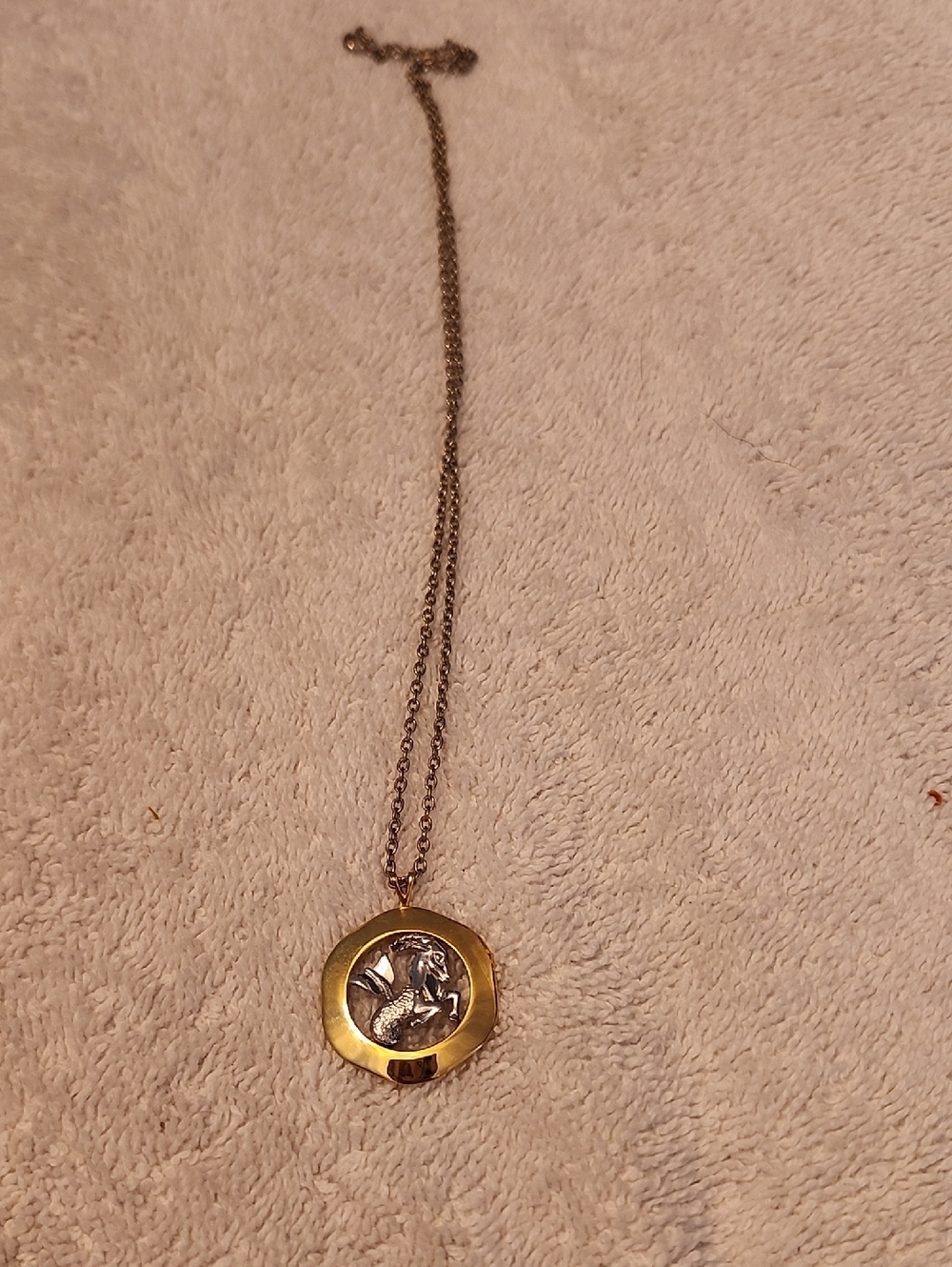 Capricorn Charm Pendant

 



5 out of 5 stars